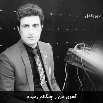 آهوی من ز چنگالم رمیده