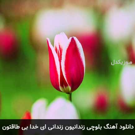 زندانیون زندانی ای خدا بی طاقتون زندانیون زندانی ای خدا بی طاقتون