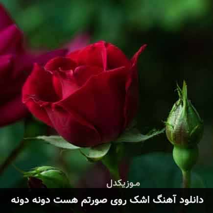 دانلود اهنگ اشک روی صورتم هست دونه دونه احمد محمد زاده