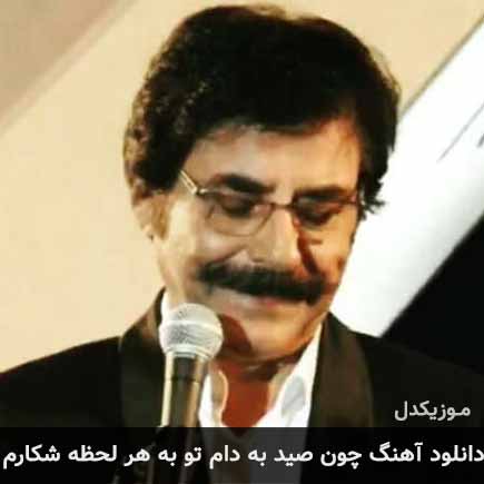 دانلود اهنگ چون صید به دام تو به هر لحظه شکارم علیرضا افتخاری