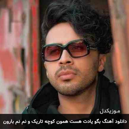 دانلود اهنگ بگو یادت هست همون کوچه تاریک و نم نم بارون دانیال هندیانی