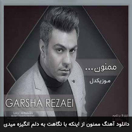 دانلود اهنگ ممنون از اینکه با نگاهت به دلم انگیزه میدی گرشا رضایی