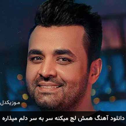 دانلود اهنگ همش لج میکنه سر به سر دلم میذاره میثم ابراهیمی