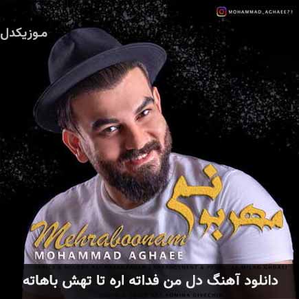 دانلود اهنگ دل من فداته اره تا تهش باهاته محمد آقایی