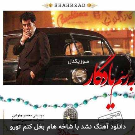دانلود اهنگ نشد با شاخه هام بغل کنم تورو محسن چاوشی