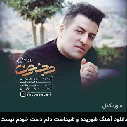 دانلود اهنگ شوریده و شیداست دلم دست خودم نیست پویا بیاتی
