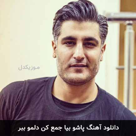 دانلود اهنگ پاشو بیا جمع کن دلمو ببر شهاب مظفری