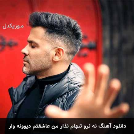 دانلود اهنگ نه نرو تنهام نذار من عاشقتم دیوونه وار سیروان خسروی