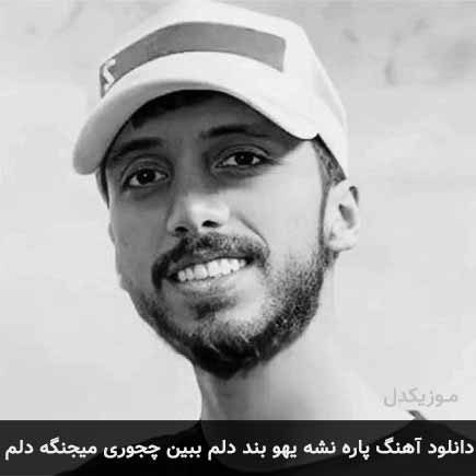دانلود اهنگ پاره نشه یهو بند دلم ببین چجوری میجنگه دلم زانکو