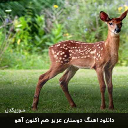 دانلود اهنگ دوستان عزیز هم اکنون آهو