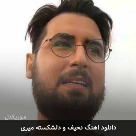 دانلود اهنگ نحیف و دلشکسته میری حامد زمانی و عبدالرضا هلالی
