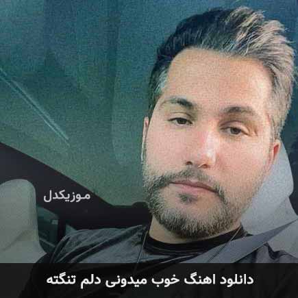 دانلود اهنگ خوب میدونی دلم تنگته احمد سعیدی