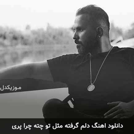 دانلود اهنگ دلم گرفته مثل تو چته چرا پری علی پناهی