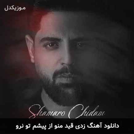 دانلود اهنگ زدی قید منو از پیشم تو نرو علیرضا غفاری