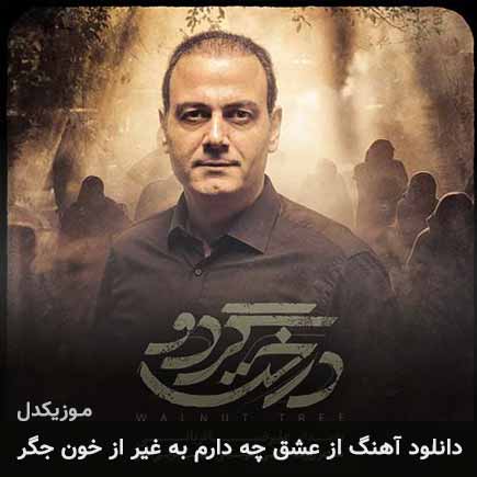 دانلود اهنگ از عشق چه دارم به غیر از خون جگر علیرضا قربانی