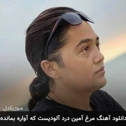 دانلود اهنگ مرغ آمین درد آلودیست کاواره بمانده امین بانی