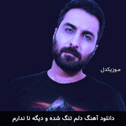 دانلود اهنگ دلم تنگ شده و دیگه نا ندارم امین حبیبی