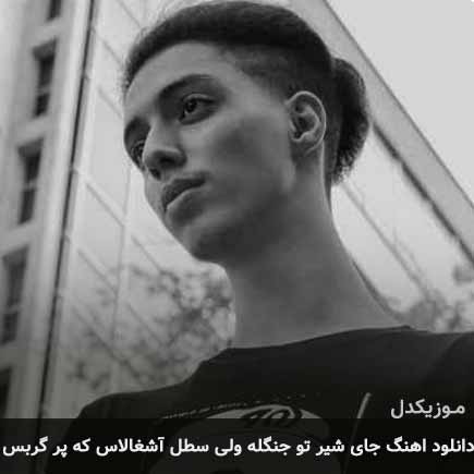 دانلود اهنگ جای شیر تو جنگله ولی سطل آشغالاس که پر گربس امیر خوشنگار