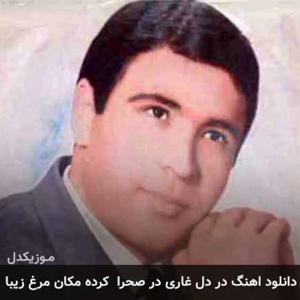 دانلود اهنگ در دل غاری در صحرا کرده مکان مرغ زیبا داوود مقامی