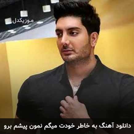 دانلود اهنگ به خاطر خودت میگم نمون پیشم برو فرزاد فرزین
