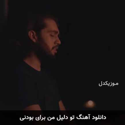 دانلود اهنگ تو دلیل من برای بودنی حامیم