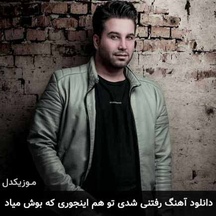 دانلود اهنگ رفتنی شدی توهم اینجوری که بوش میاد حمید حسام