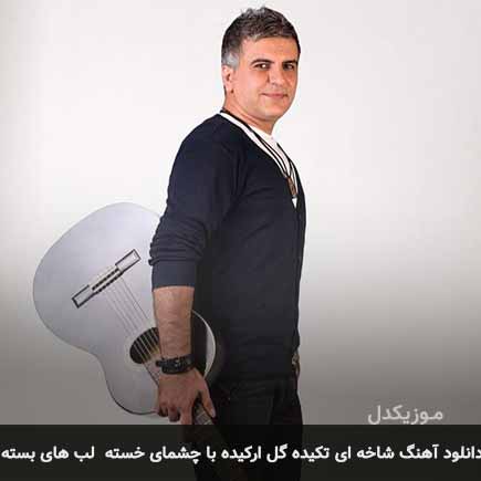 دانلود اهنگ شاخه ای تکیده گل ارکیده با چشمای خسته لب های بسته ایلیا منفرد