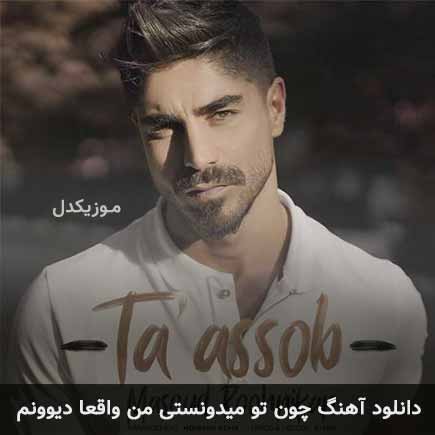 دانلود اهنگ چون تو میدونستی من واقعا دیوونم مسعود روح نیکان