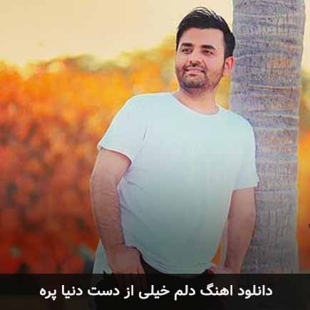 دانلود اهنگ دلم خیلی از دست دنیا پره میثم ابراهیمی