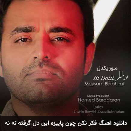 دانلود اهنگ فکر نکن چون پاییزه این دل گرفته نه نه میثم ابراهیمی