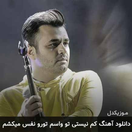 دانلود اهنگ کم نیستی تو واسم تورو نفس میکشم میثم ابراهیمی