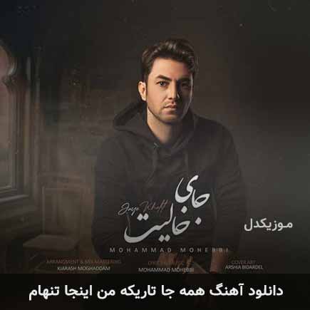 دانلود اهنگ همه جا تاریکه من اینجا تنهام محمد محبی