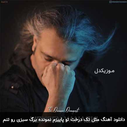 دانلود اهنگ مثل تک درخت تو پاییزم نمونده برگ سبزی رو تنم محسن یاحقی