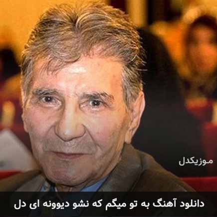 دانلود اهنگ به تو میگم که نشو دیوونه ای دل نادر گلچین