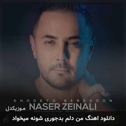دانلود اهنگ من دلم بدجوری شونه میخواد ناصر زینعلی