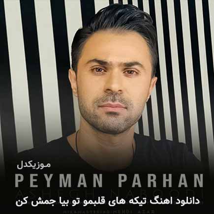 دانلود اهنگ تیکه های قلبمو تو بیا جمش کن پیمان پرهان