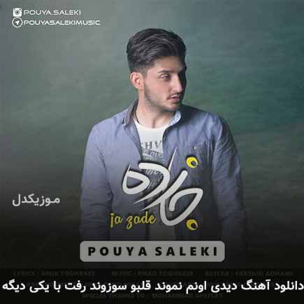 دانلود اهنگ دیدی اونم نموند قلبو سوزوند رفت با یکی دیگه پویا سالکی