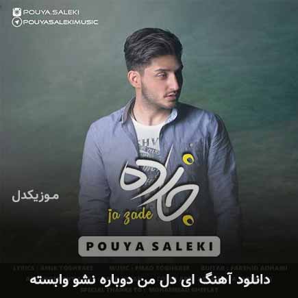 دانلود اهنگ ای دل من دوباره نشو وابسته پویا سالکی
