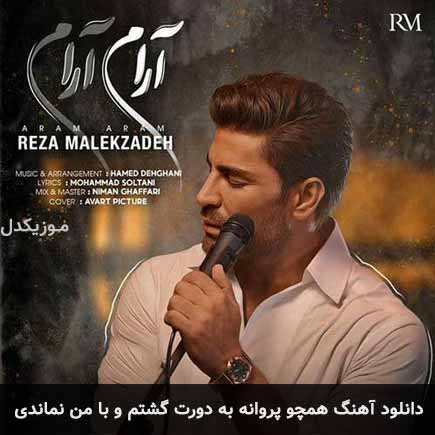 دانلود اهنگ همچو پروانه به دورت گشتم و با من نماندی رضا ملک زاده