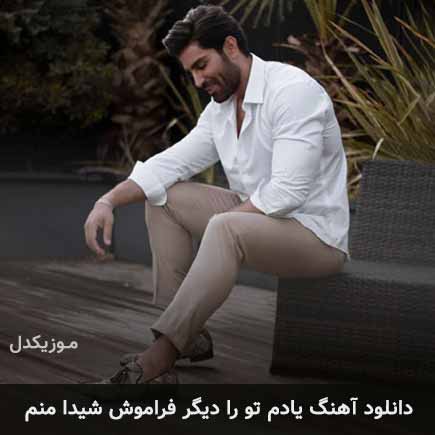 دانلود اهنگ یادم تو را دیگر فراموش شیدا منم رضا ملک زاده