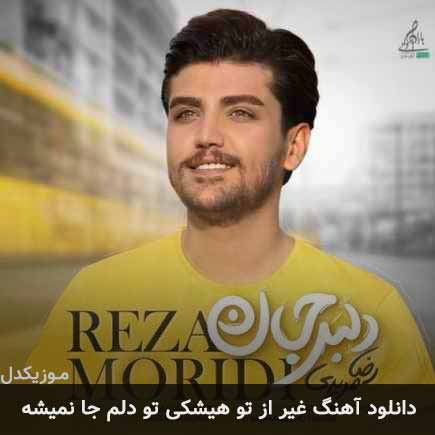 دانلود اهنگ غیر از تو هیشکی تو دلم جا نمیشه رضا مریدی