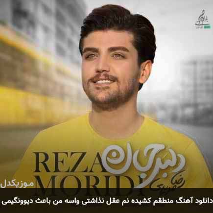دانلود اهنگ منطقم کشیده نم عقل نذاشتی واسه من باعث دیوونگیمی رضا مریدی