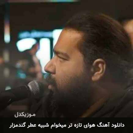 دانلود اهنگ هوای تازه تر میخوام شبیه عطر گندمزار رضا صادقی