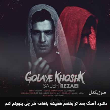 دانلود اهنگ بعد تو بغضم همیشه باهامه هر چی پنهونم کنم صالح رضایی