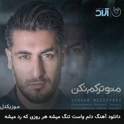 دانلود اهنگ دلم واست تنگ میشه هر روزی که رد میشه شهاب مظفری