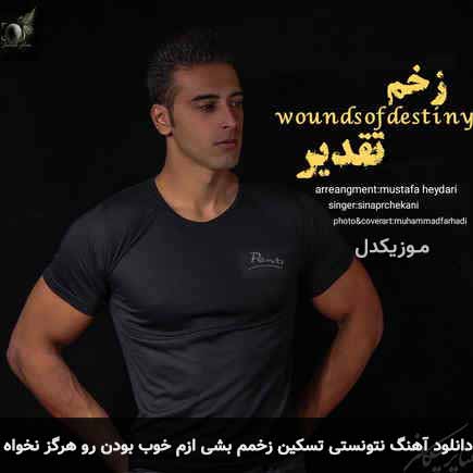 دانلود اهنگ نتونستی تسکین زخمم بشی ازم خوب بودن رو هرگز نخواه سینا پرچکانی