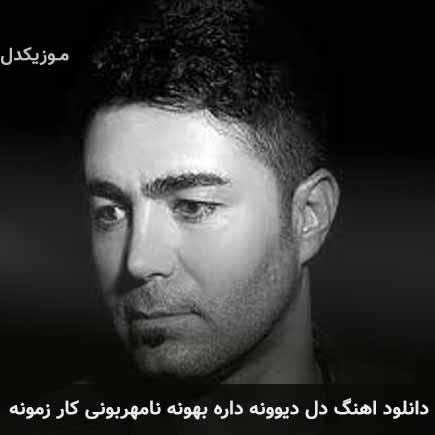 دانلود اهنگ دل دیوونه داره بهونه نامهربونی کار زمونه عباس قمری