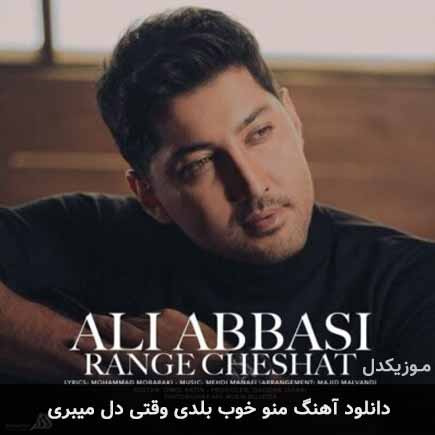 دانلود اهنگ منو خوب بلدی وقتی دل میبری علی عباسی