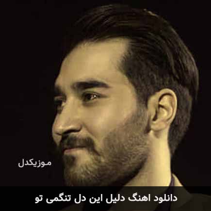 دانلود اهنگ دلیل این دل تنگمی تو علی یاسینی