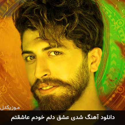 دانلود اهنگ شدی عشق دلم خودم عاشقتم علیرضا پویا